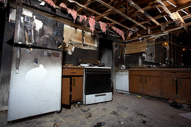 Licensed Structural Rebuild service in Dover, FL - Fire Damage Laser Cleaning